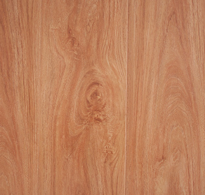 Blackbutt