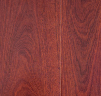 Blue Gum