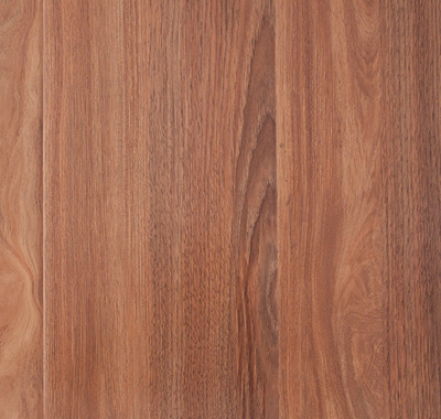 Spotted Gum