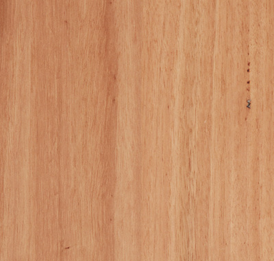 Tasmanian Oak